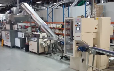 Ligne de savon de ménage (1 T/H)